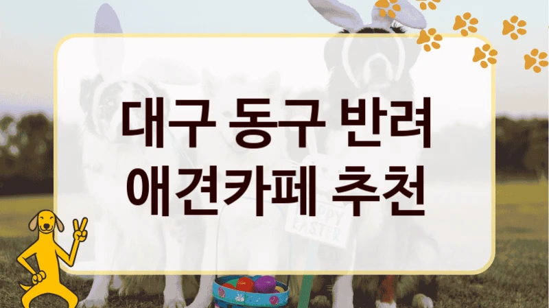 대구 동구 반려 애견카페 추천