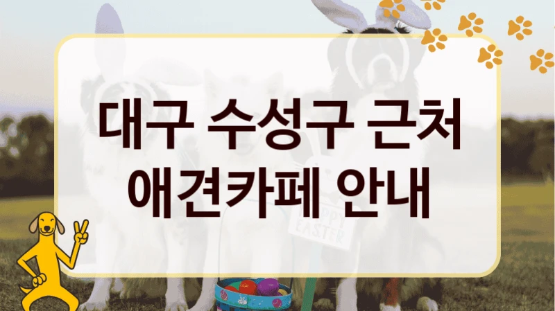 대구 수성구 근처 애견카페 안내