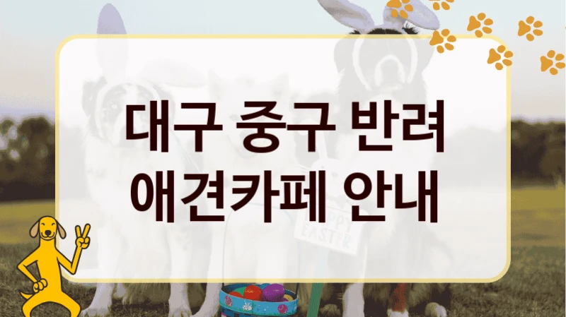 대구 중구 반려 애견카페 안내