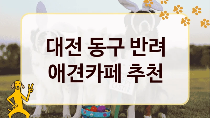 대전 동구 반려 애견카페 추천