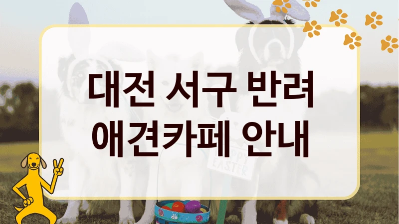 대전 서구 반려 애견카페 안내