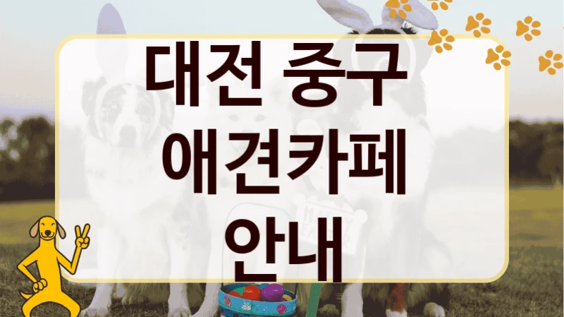 대전 중구  애견카페 안내