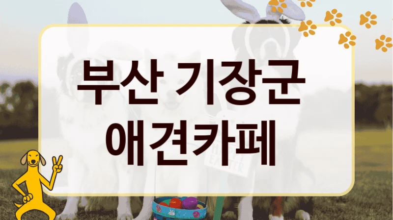 부산 기장군  애견카페