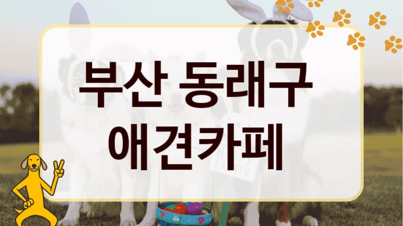 부산 동래구  애견카페