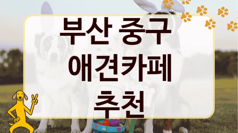 부산 중구  애견카페 추천