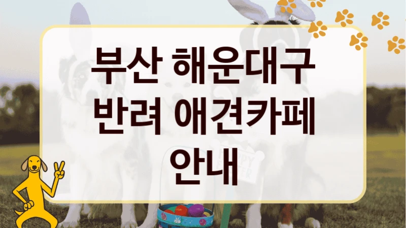 부산 해운대구 반려 애견카페 안내