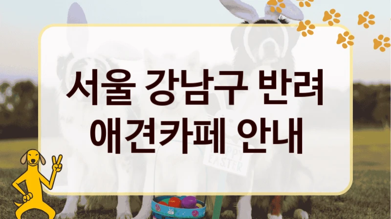 서울 강남구 반려 애견카페 안내