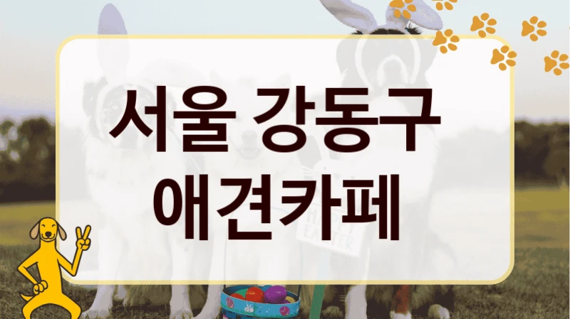 서울 강동구  애견카페