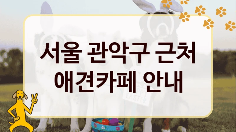 서울 관악구 근처 애견카페 안내