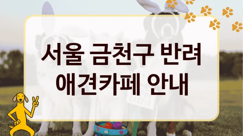 서울 금천구 반려 애견카페 안내