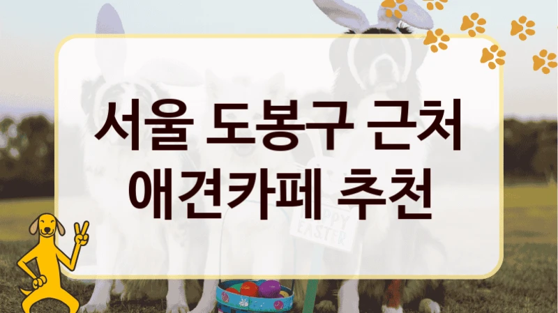 서울 도봉구 근처 애견카페 추천