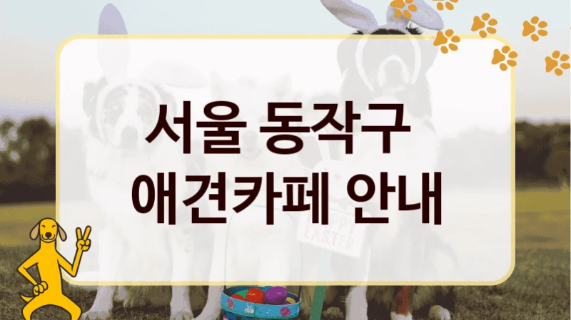 서울 동작구  애견카페 안내