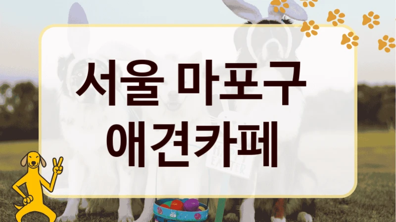 서울 마포구  애견카페