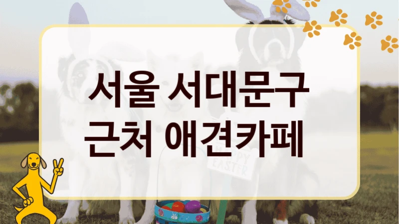 서울 서대문구 근처 애견카페
