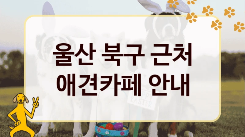 울산 북구 강아지 애견카페  추천, 비용 안내