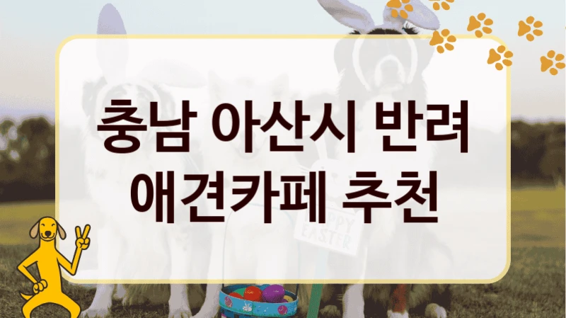 충남 아산시 반려 애견카페 추천