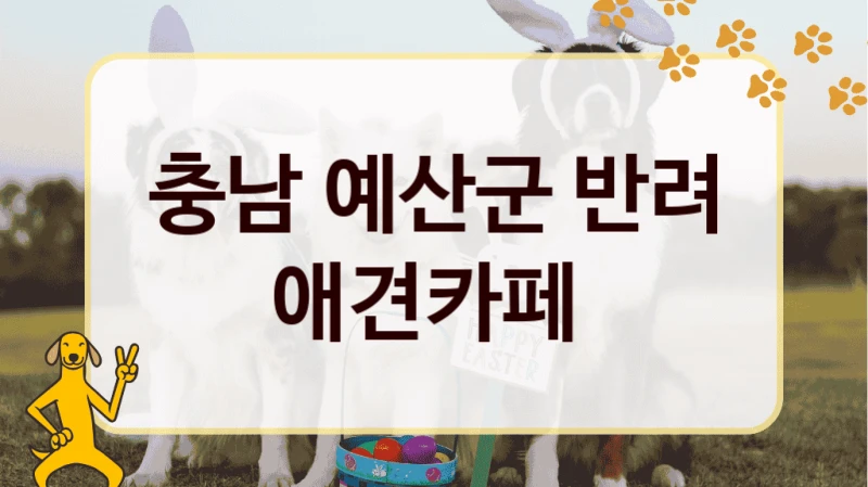 충남 예산군 반려 애견카페