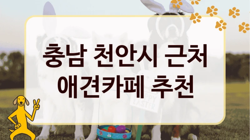 충남 천안시  댕댕이 애견카페 , 비용