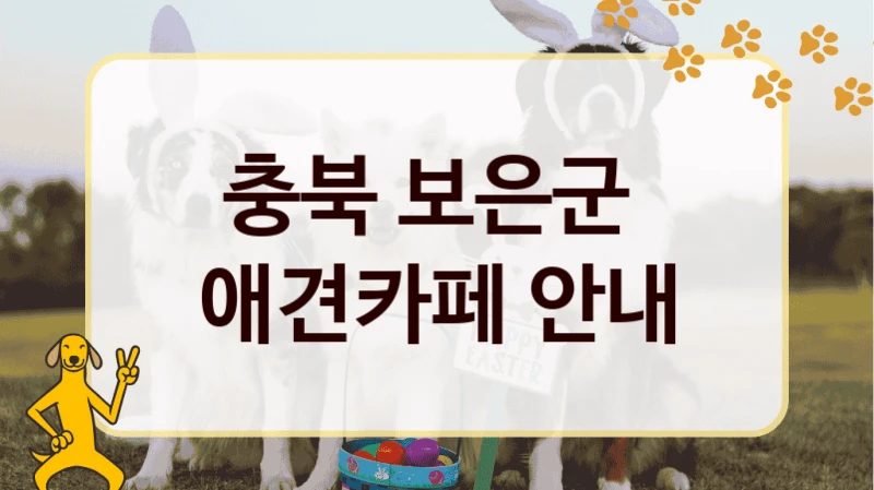 충북 보은군 반려견과 함께하는 애견카페 추천 장소, 비용 안내