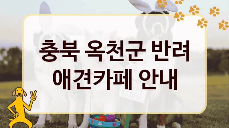 충북 옥천군  반려견 애견카페 안내, 비용