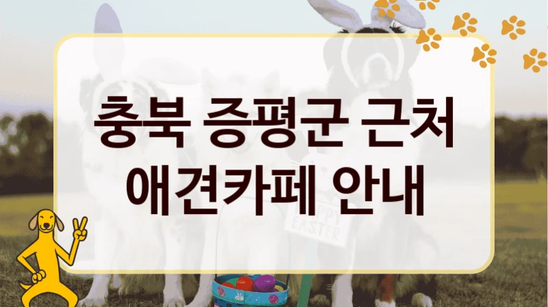 증평군 강아지와 함께 갈만한 애견카페 BEST, 놀이 공간 및 이용 요금