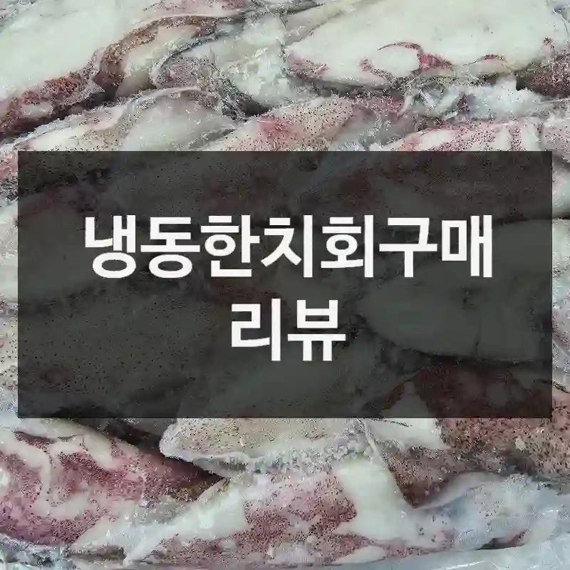 냉동한치회구매 리뷰