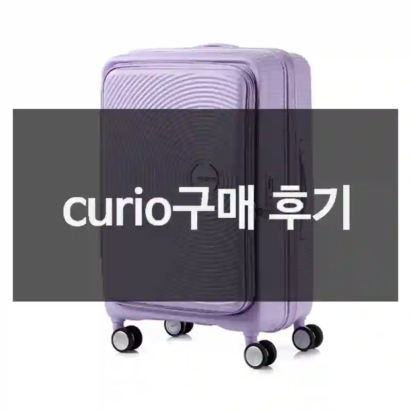 내돈내산 아메리칸투어리스터 curio, 리뷰와 느낀부분