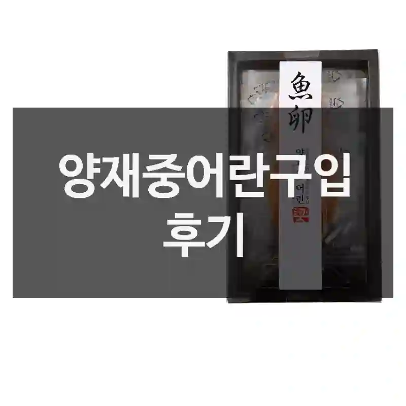 내가 “양재중어란” 선택한 이유