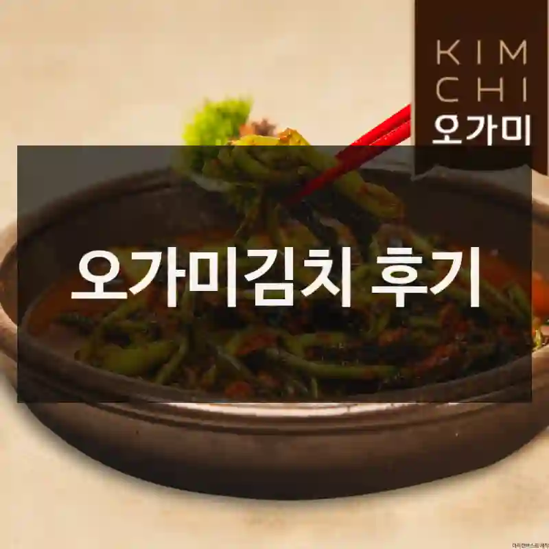 진짜 실화냐… 오가미김치 체험 리뷰-열무김치2kg