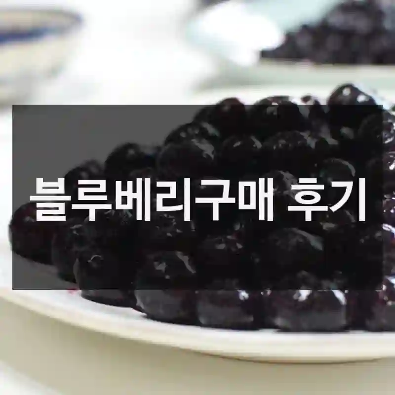 요즘 가장 잘 산 것 중 하나, 베리필드 “블루베리” 경험 후기