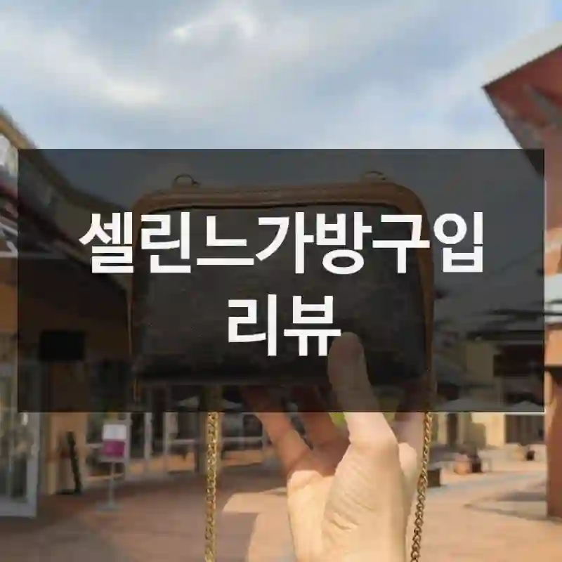 셀린느가방구입 리뷰