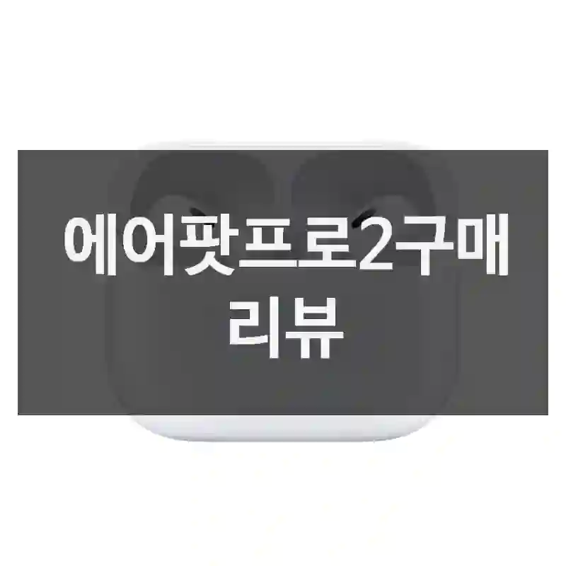 틱톡에서 난리 난 에어팟프로2, 리뷰, 노이즈캔슬링