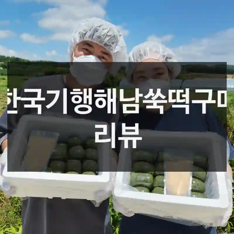 한국기행해남쑥떡구매 리뷰