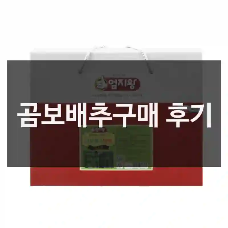 곰보배추구매 후기