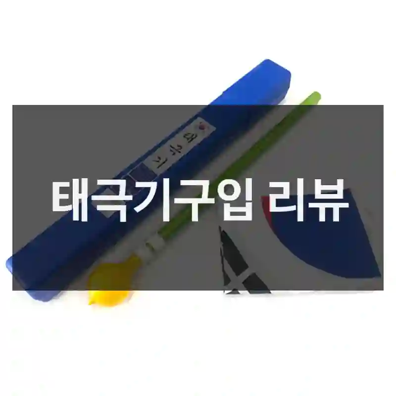 충동구매 NO! 태극기 체험기