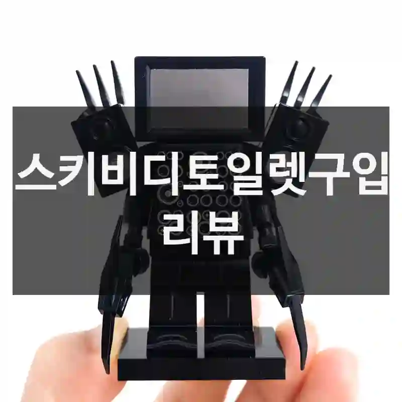 스키비디토일렛구입 리뷰