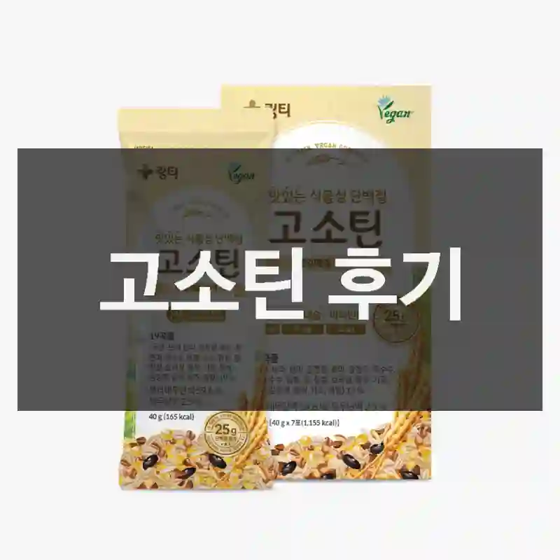 고소틴 후기