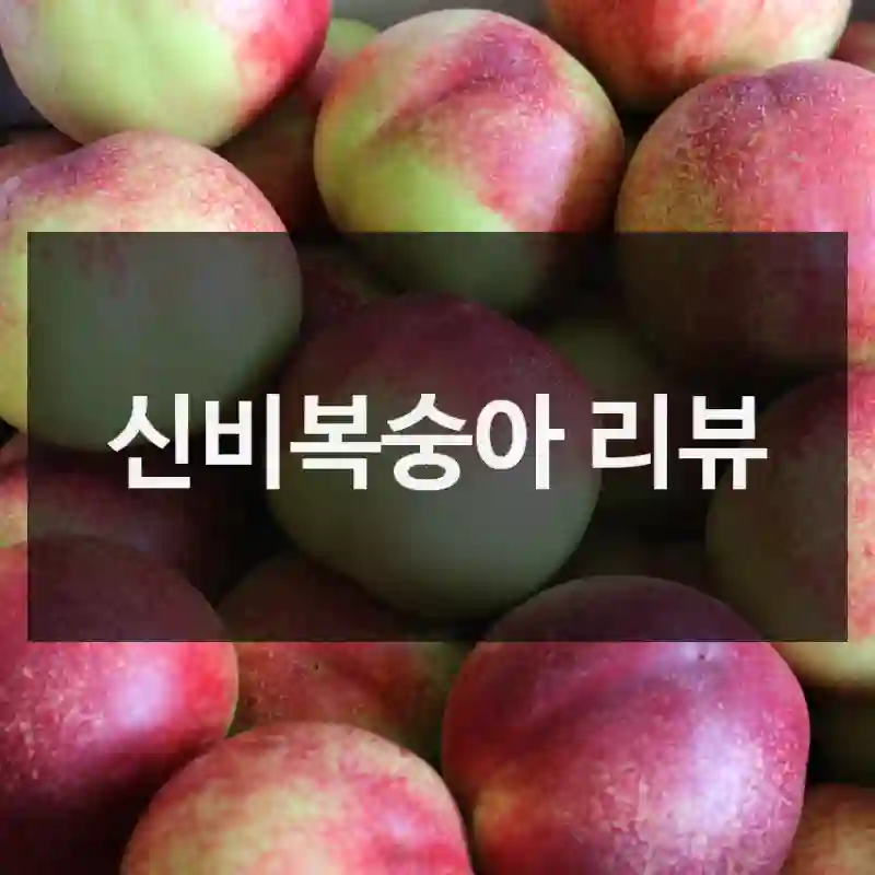 왜 다들 신비복숭아 찾는지 알겠더라고요, 달콤하니과일랜드 맛있는과일