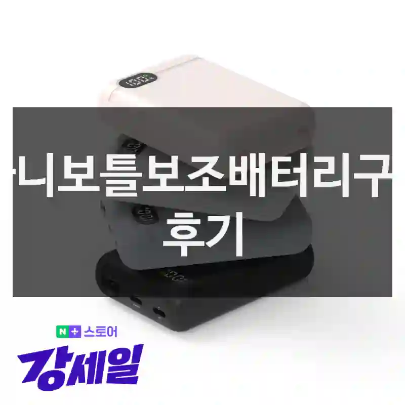 빠니보틀보조배터리구매 후기