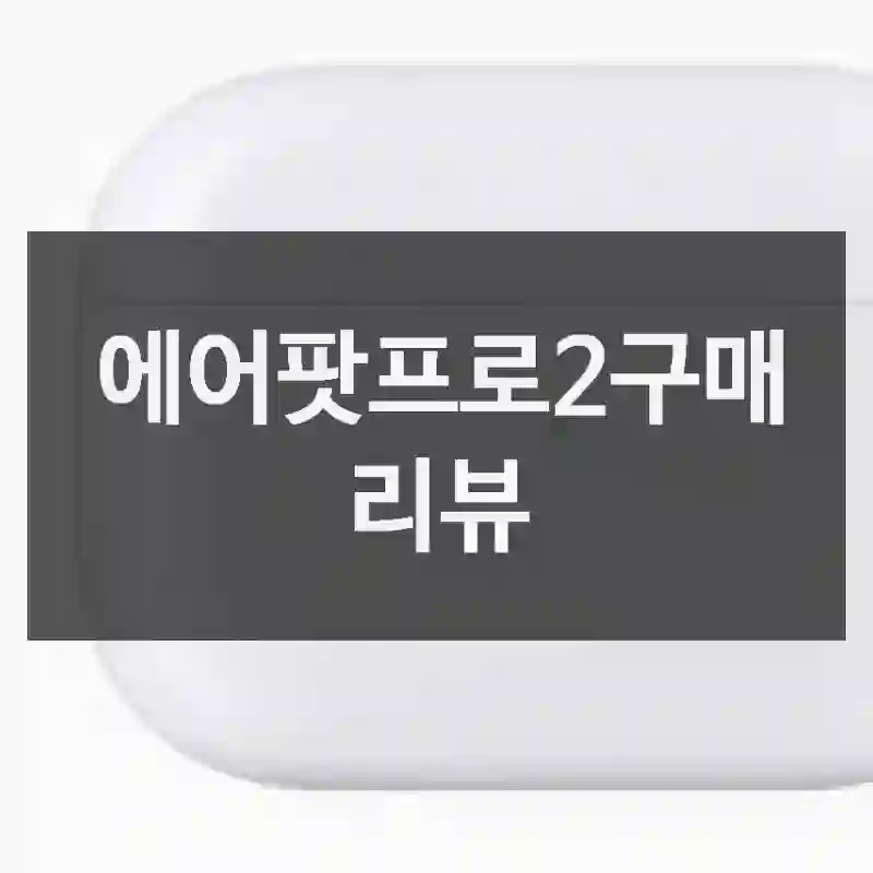 에어팟프로2구매 리뷰