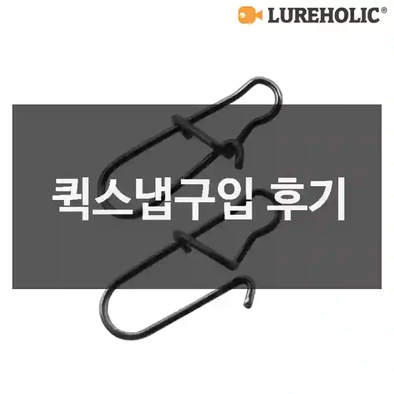 퀵스냅구입 후기