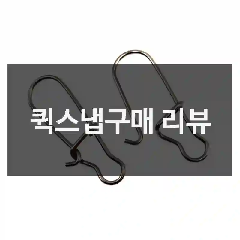 블로그 후기 보고 산 푸른바다피싱 퀵스냅, 내 생각은?