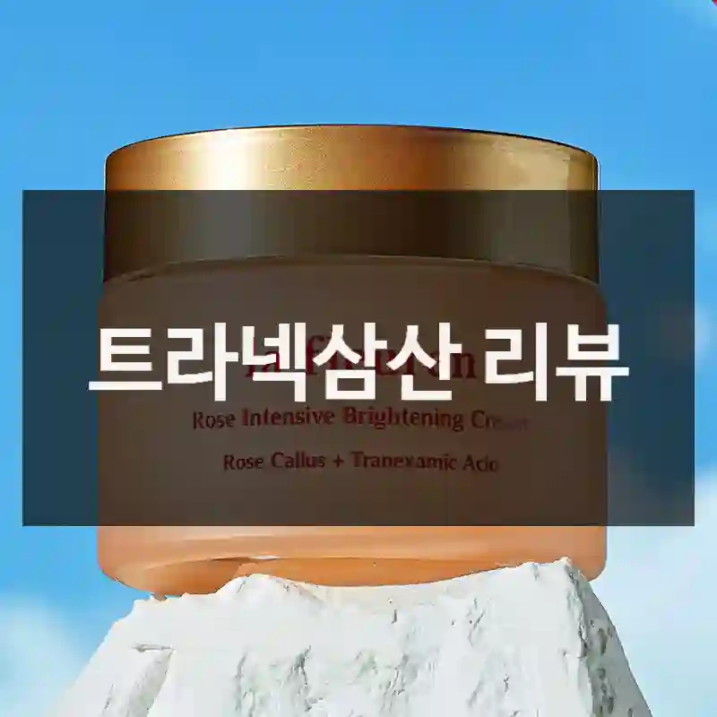 트라넥삼산 리뷰