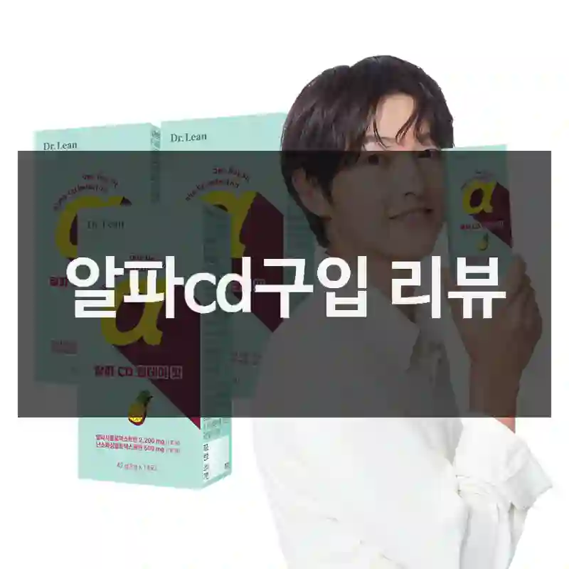 알파cd구입 리뷰
