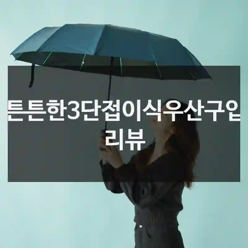 튼튼한3단접이식우산구입 리뷰