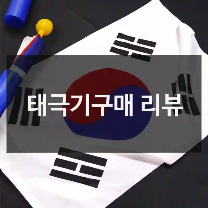 딱 이거 하나로… 태극기 후기
