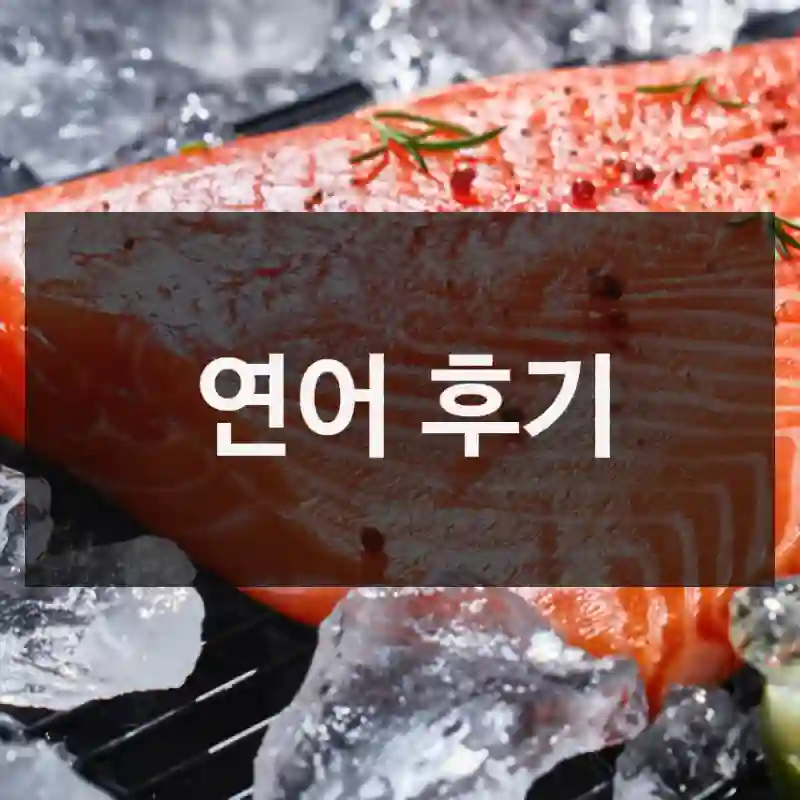 연어 후기