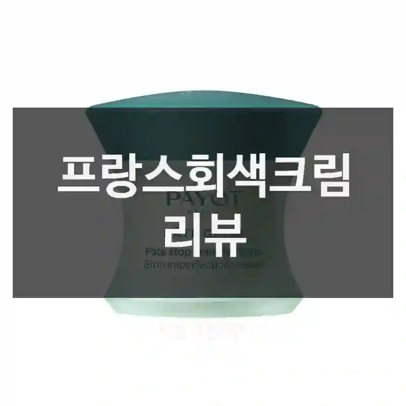 프랑스회색크림 리뷰