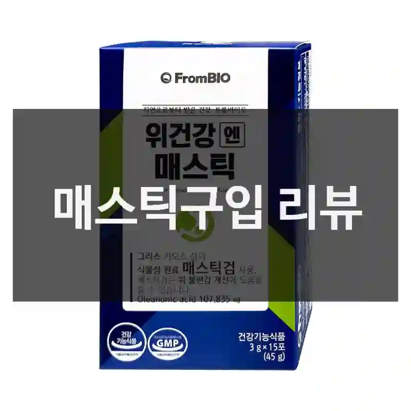 매스틱구입 리뷰