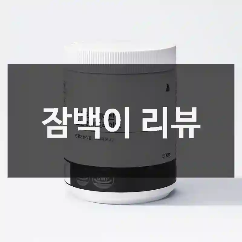 잠백이 리뷰